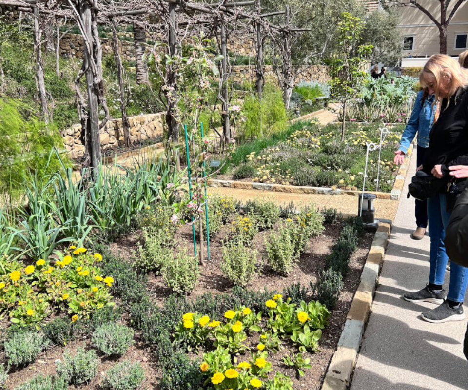 Malibu Garden Club Members at the Getty Villa