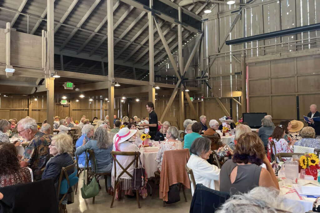 Guests enjoying the luncheon