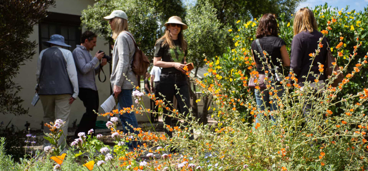 The Theodore Payne Native Plant Garden Tour