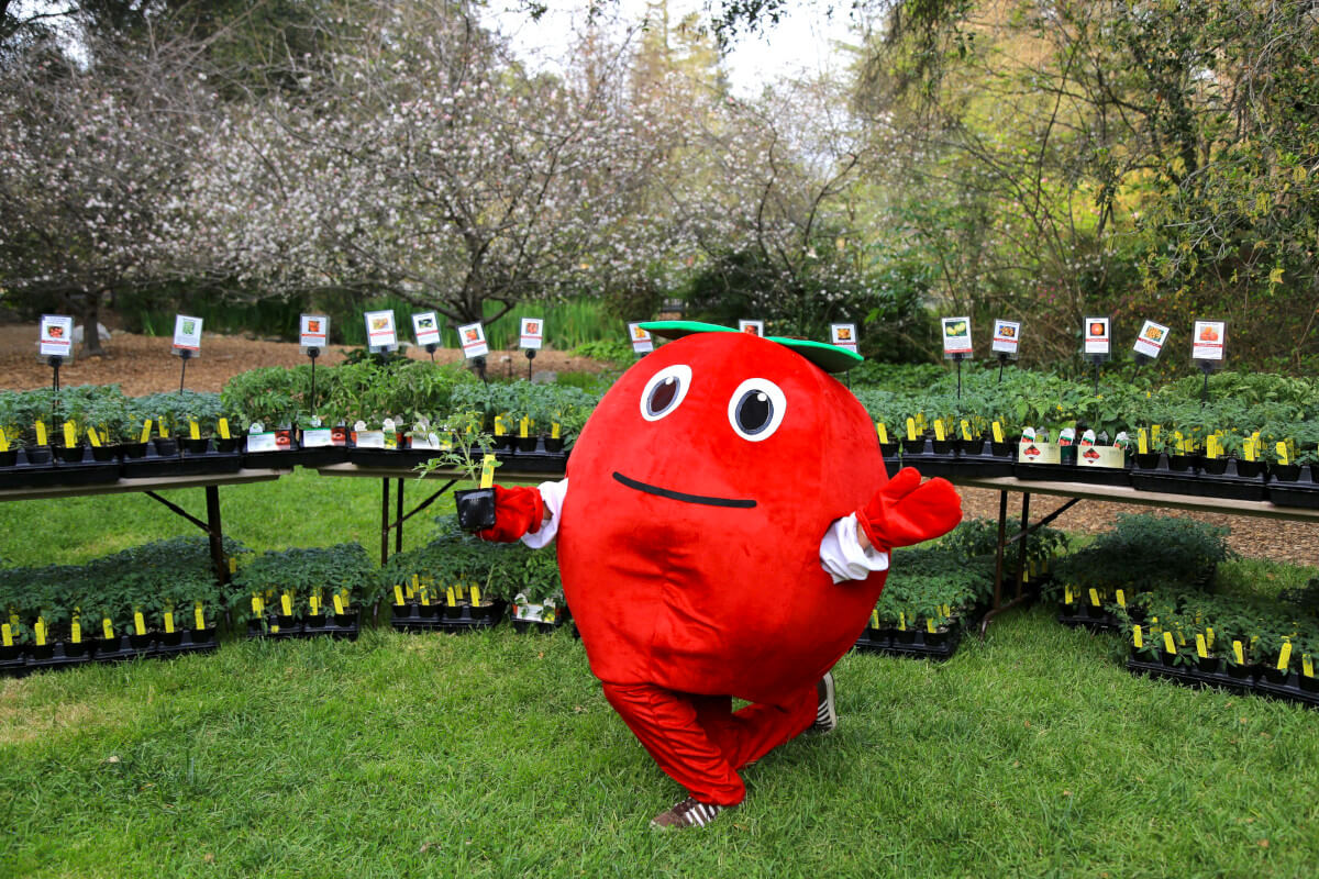 Tomatomania mascot