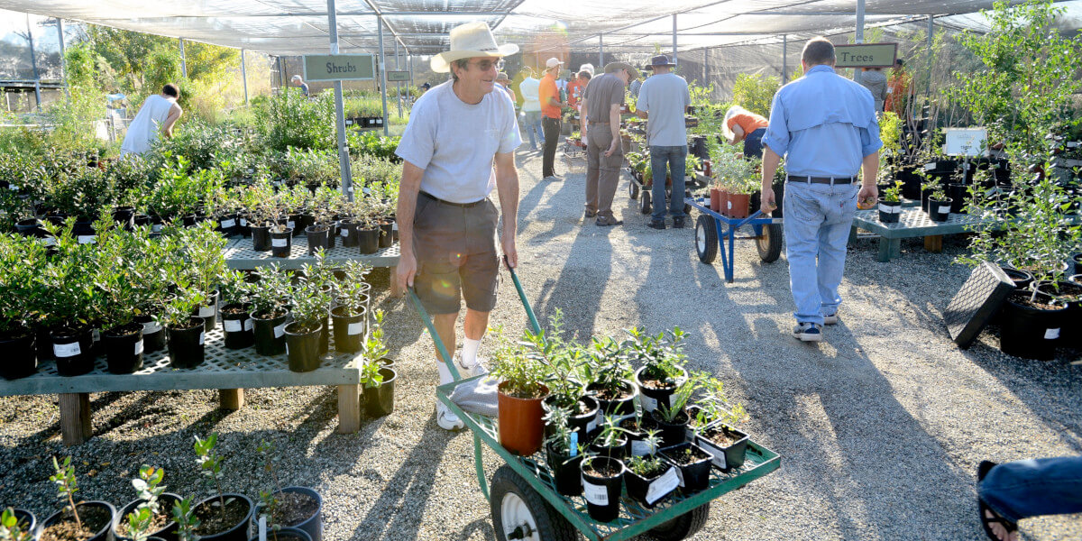 Rancho Santa Ana Botanic Garden Fall Plant Sale