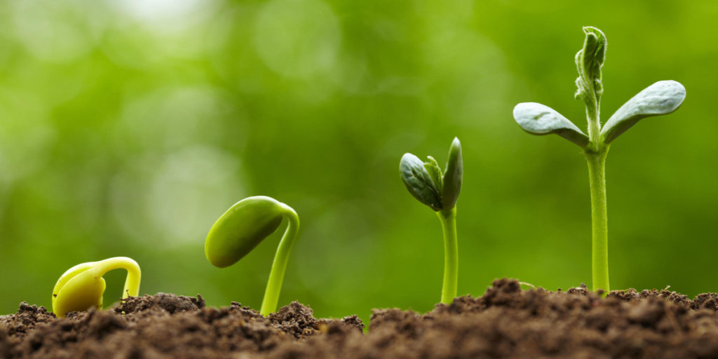 Plant Science for Gardeners and Citizen Scientists - Malibu Garden Club